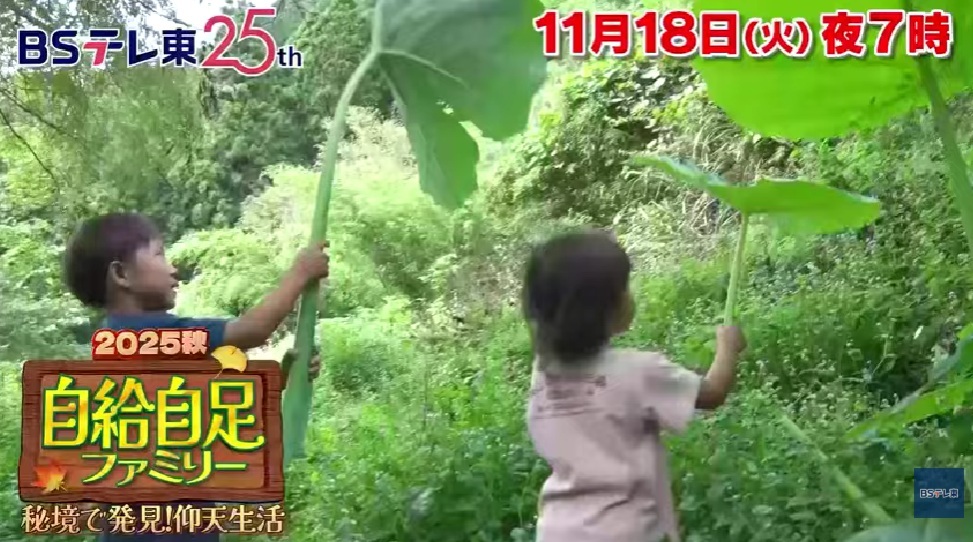 自給自足ファミリー2025秋